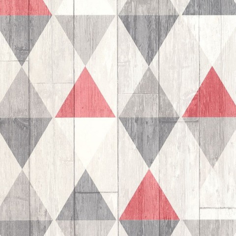 42505-20
